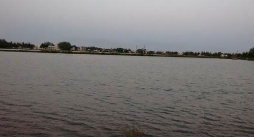 ఏలూరు శాంపిల్స్‌ భయానకం...