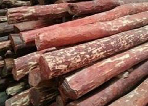 రూ.60లక్షల విలువైన ఎర్రచందనం పట్టివేత