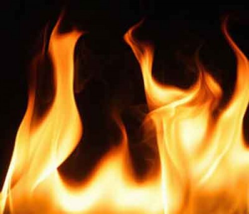 నెల్లూరులో భారీ అగ్ని ప్రమాదం