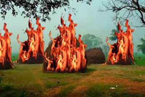 వరి కుప్పలకు నిప్పు 