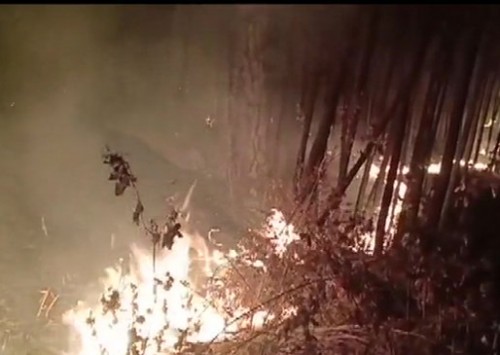 ఉత్తరాఖండ్ లోని తెహ్రీ అడవుల్లో మంటలు 