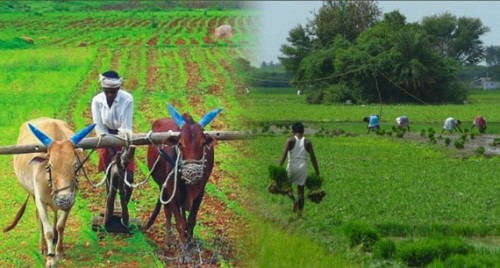 రైతులకు గుడ్ న్యూస్..