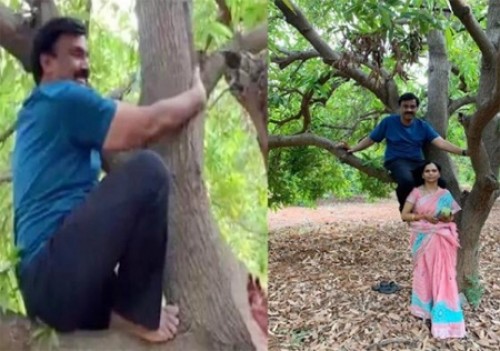 మామిడి చెట్టెక్కి కూర్చున్న గాలి జనార్దన్ రెడ్డి!