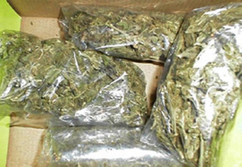 విశాఖపట్నం జిల్లా నర్సీపట్నంలో భారీగా గంజాయి స్వాధీనం