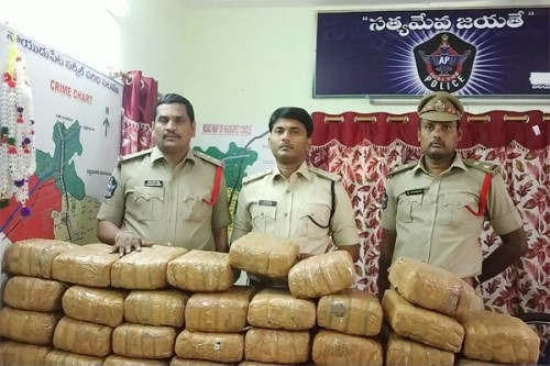 నెల్లూరులో గంజాయి పట్టివేత