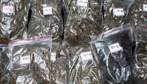 తిరుపతిలో భారీగా గంజాయి స్వాధీనం