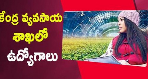 కేంద్ర వ్యవసాయ శాఖలో ఉద్యోగాలు

