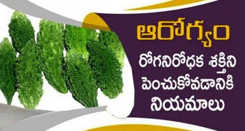 రోగనిరోధక శక్తి పెరగాలంటే మనం ఏం చేయాలి..?