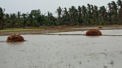 తుఫాన్ బాధితుల ఖాతాలోకి నేరుగా  న‌ష్ట‌ప‌రిహారం