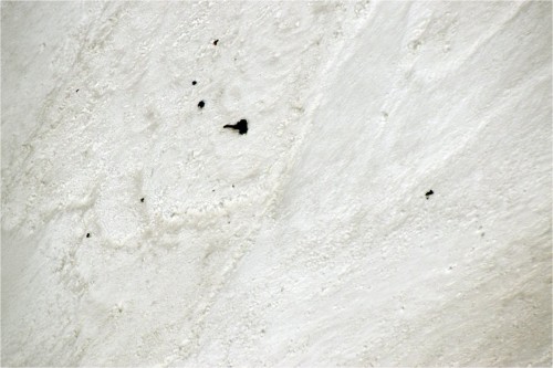 ఐదుగురు పర్వతారోహకుల మృతదేహాల గుర్తింపు