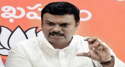 నారావారి పార్టీ, నందమూరి వారి పార్టీ పేరిట రెండు ముక్కలుగా చీలిపోతుంది : పీవీఎన్ మాధవ్