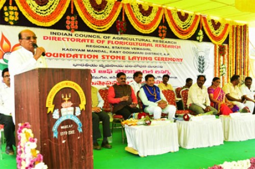 వేమగిరిలో మొక్కల పరిశోధన కేంద్రానికి శంకుస్థాపన