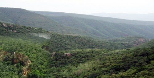 నల్లమల్ల అడవుల్లో కి వెళితే కఠిన చర్యలు