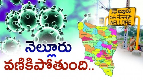 నెల్లూరు కరోనా లెక్క 32...ఇకనైనా జాగ్రత్త
