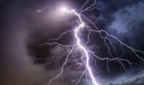 పిడుగు పడి 60 మేకలు మృతి