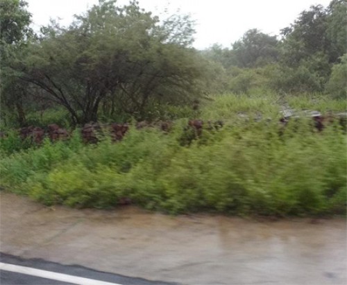 శ్రీశైల క్షేత్రంలో భారీ వర్షం