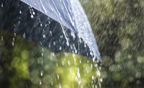 కోస్తాలో నాలుగు రోజులపాటు వర్షాలు