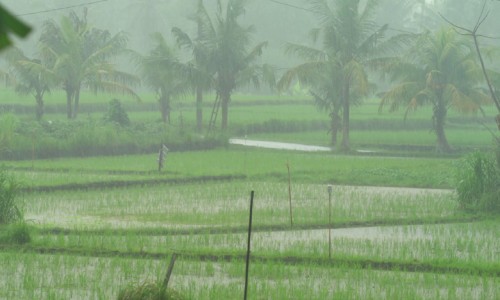 అన్నదాతలకు తీపికబురు.. వానలే వానలు