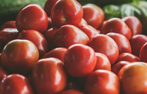 పాక్‌కు టమోటాల ఎగుమతి ఆపేసిన రైతులు 