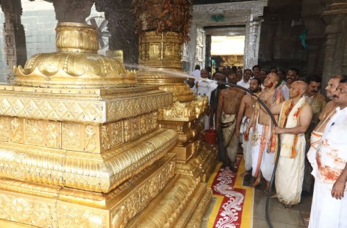 ఘనంగా కోయిల్‌ ఆళ్వార్‌ తిరుమంజనం 