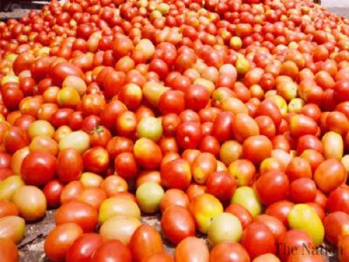 టమోటాలకు డిమాండ్‌ పెరగడంతో..