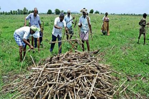 నేడు తుళ్లూరులో రైతులు, మహిళల ర్యాలీ
