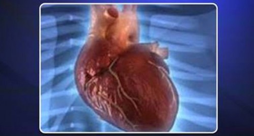 ఇవి తింటే గుండె సమస్యలు పరార్!
