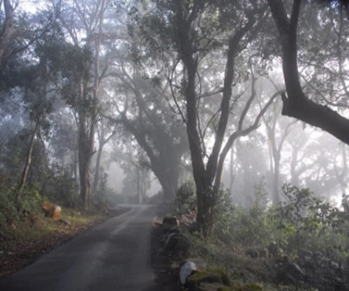 విశాఖను వణికిస్తున్న చలి..