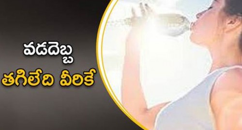 వడదెబ్బ తగలకుండా జాగ్రత్తలివే