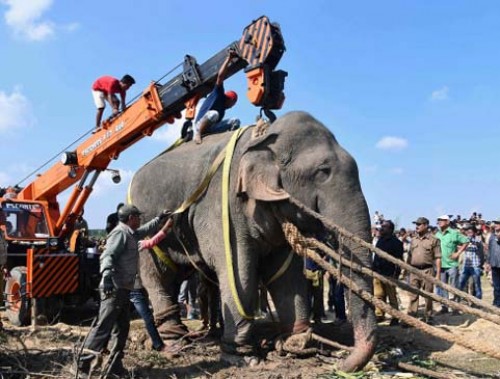 ఈ కిల్లర్‌ బిన్‌ లాడెన్‌ ను పట్టుకునేందుకు అష్టకష్టాలు 