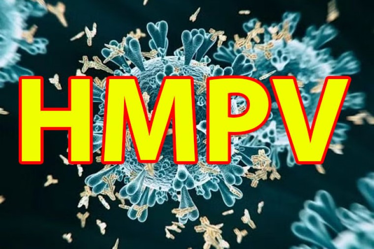Andhra Pradesh issues alert over HMPV, while Telangana releases guidelines on dos and don'ts
