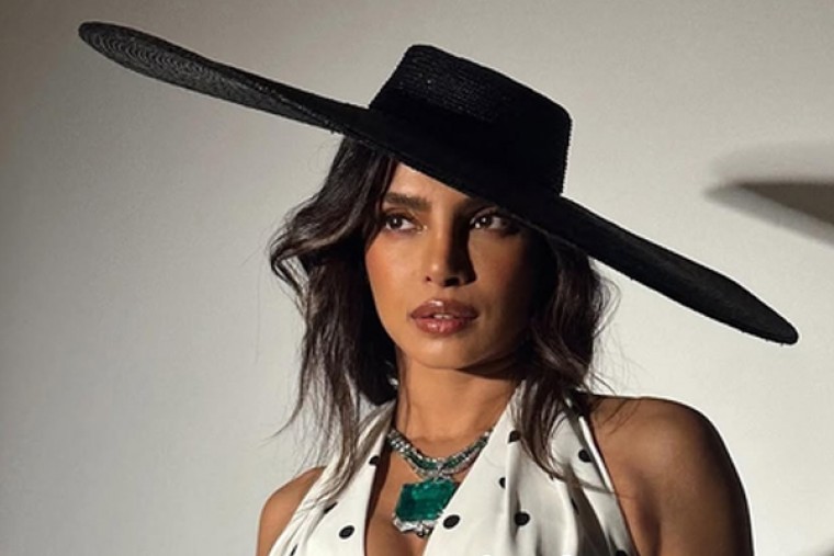 'Desi girl' Priyanka Chopra Jonas showcases retro glam for MET Gala 2025