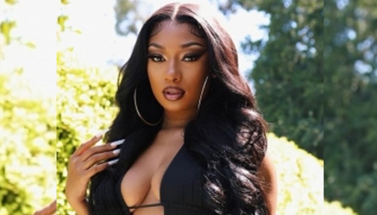 Megan Thee Stallion flattered after Dwayne Johnson said he wants to be her pet
