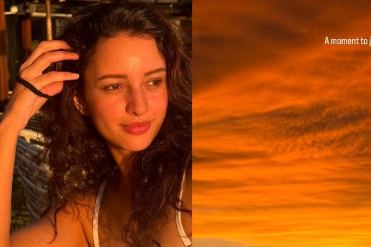 Triptii Dimri reveals the place where her 'heart feels most at ease'
