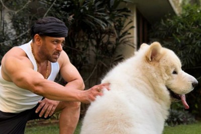 Salman Khan shares pictures of his special Sunday outing with furry friend
