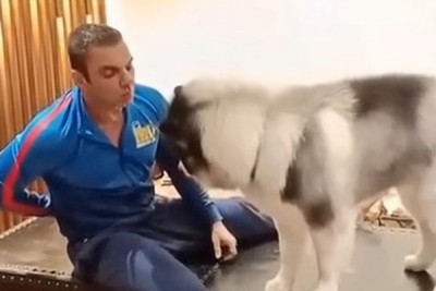 Sohail Khan enjoys his breakfast with his pet son Thor