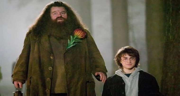 ప్రముఖ సినీ నటుడు కన్నుమూత
