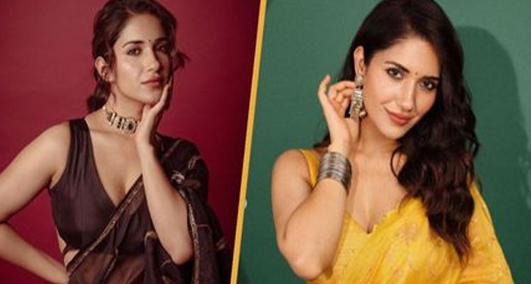 తెలుగు కుర్రాళ్ల హృదయాలను దోచేసిన బ్యూటీ..