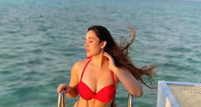 బికినీ లుక్‌ లో  అదితి 