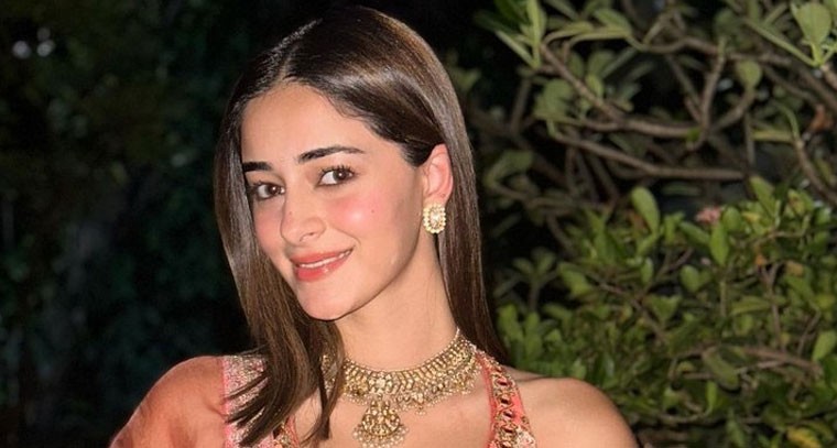 డీప్ నెక్ బ్లౌజ్‌లో అనన్య పాండే 