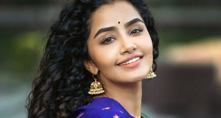 అనుపమ కెరీర్‌కి బ్రేక్.. అవకాశాల కోసం ఎదురుచూపులు