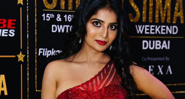 సైమా అవార్డ్స్ లో అనన్య అందాల విందు 