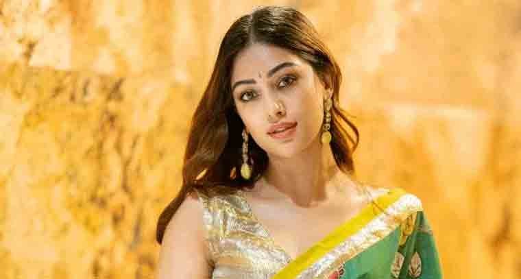 ఇకపై అలాంటి పాత్రల్లో నటించను 
