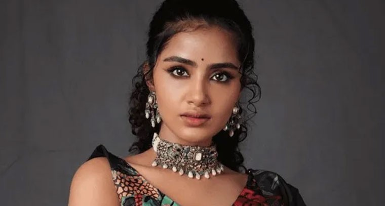 ఒకే ఏడాది ఏడు సినిమాలతో అనుపమ రికార్డు