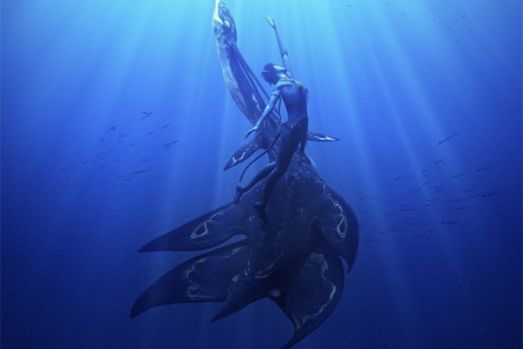 మూడు గంటల నిడివితో అవతార్ 2... కారణమేంటంటే...?