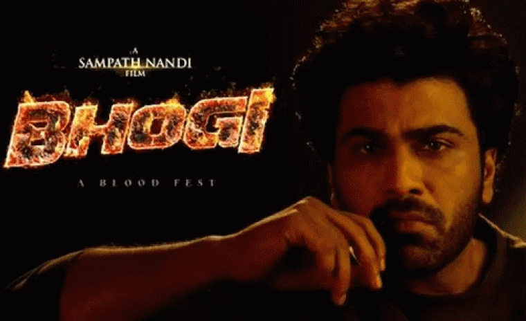 'భోగి' కొత్త షెడ్యూల్ పై లేటెస్ట్ అప్డేట్