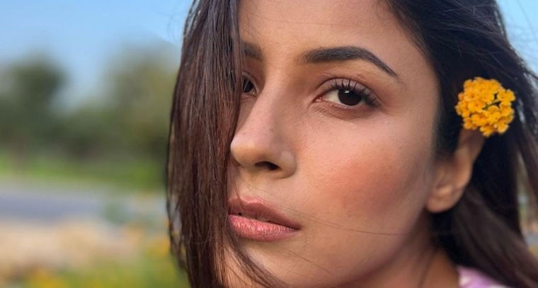 డీప్‌నెక్ థాయ్ హై స్లిట్ డ్రెస్ లో షెహనాజ్ గిల్ 