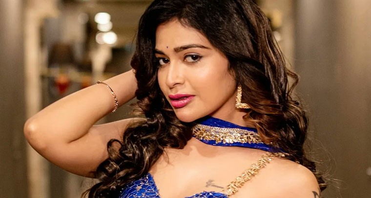 దర్శ గుప్తా హాట్ ఫోటోషూట్ 