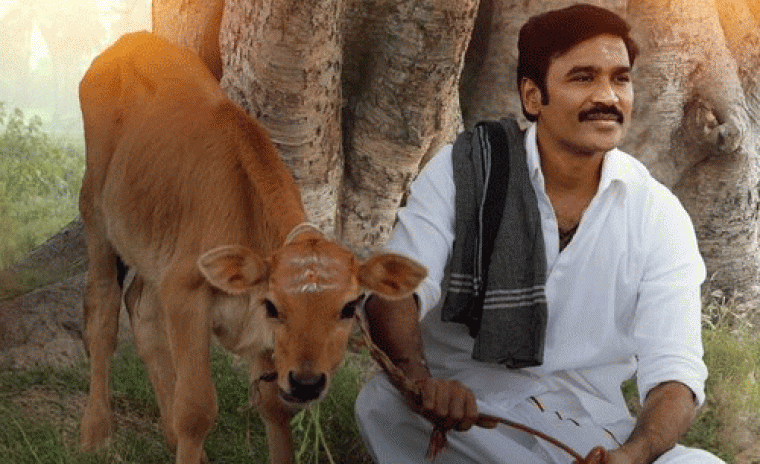 భారీ మొత్తానికి అమ్ముడయిన 'ఇడ్లీ కొట్టు' డిజిటల్ రైట్స్ 