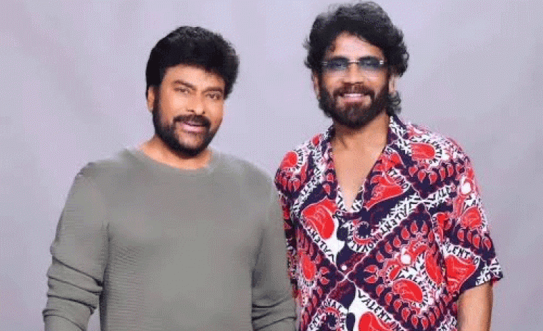 'కింగ్ 100' లో మెగా స్టార్? 